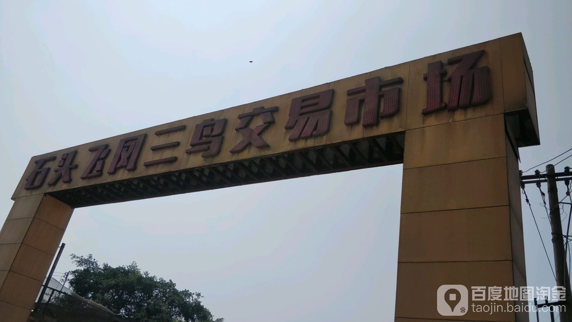 湛江市飞凤三鸟交易市场