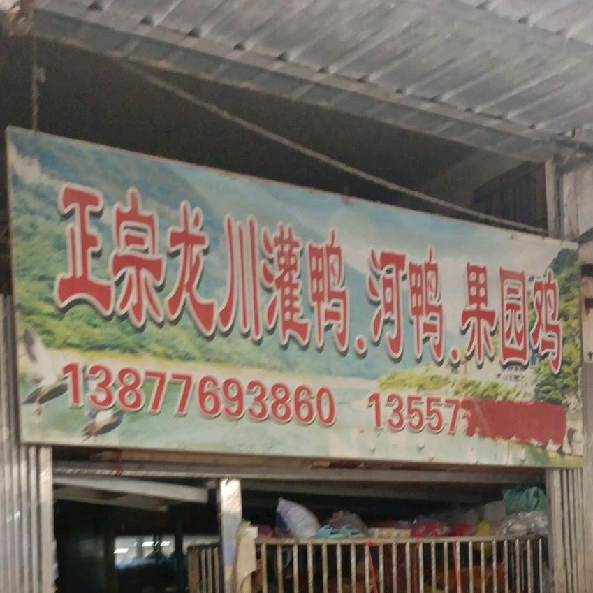 正宗龙川霍灌鸭和鸭