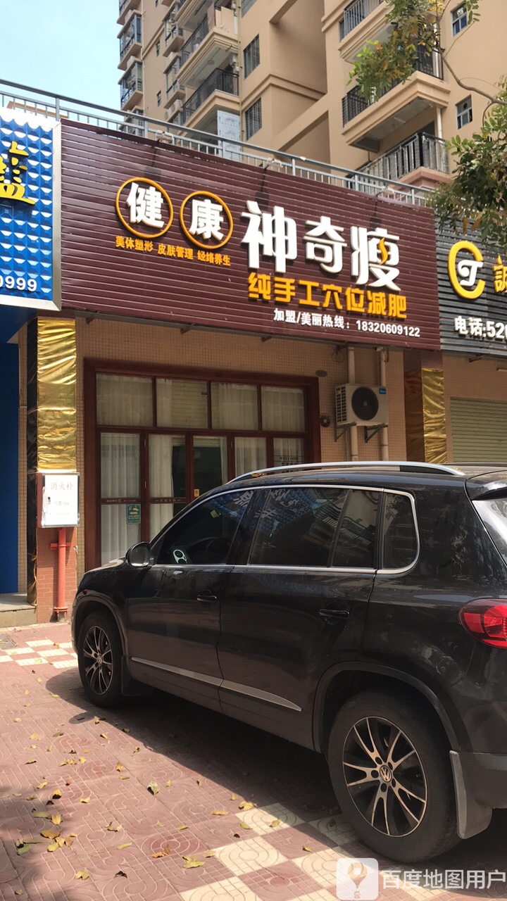 神奇天天瘦美容减肥