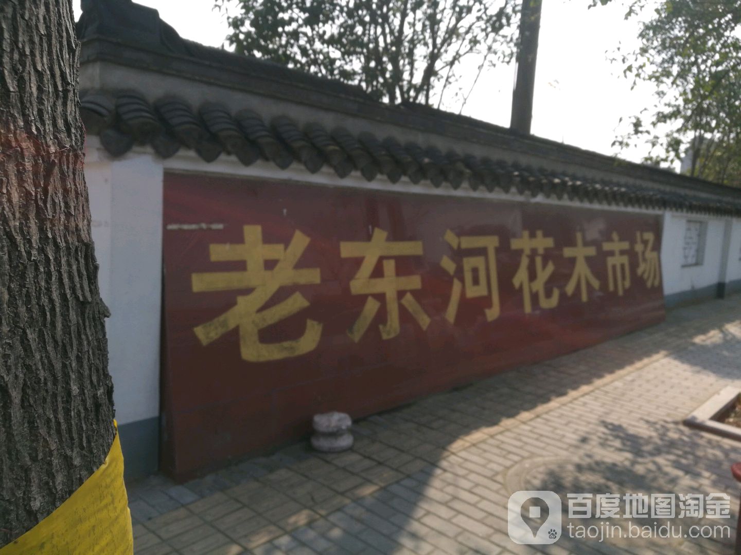 老东河花木市