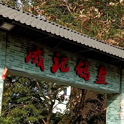 成记鸽皇美食城(新兴店)