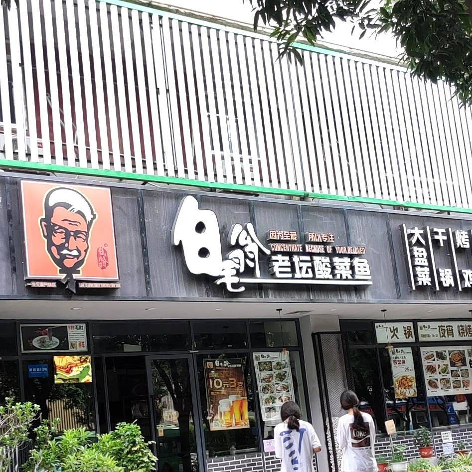 白毛翁老坛酸菜鱼·广西菜·烧烤(望园店)