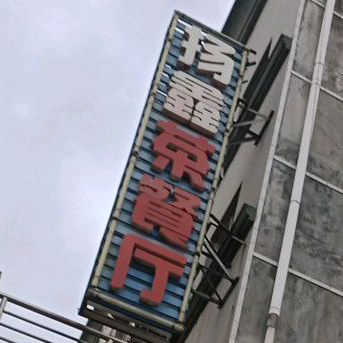 杨鑫茶