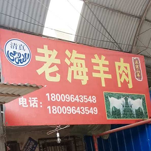 老海肉羊