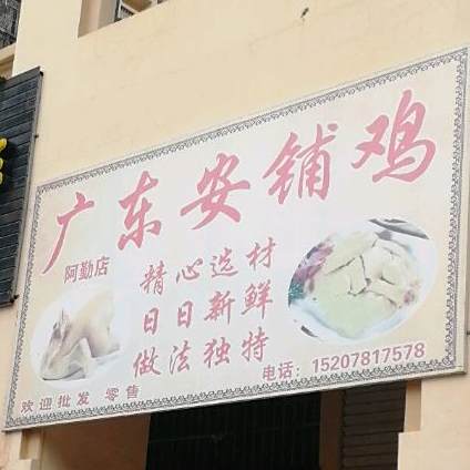 广东湛江安铺鸡