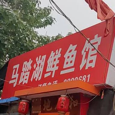 马踏湖鲜渔庄(中心大街店)