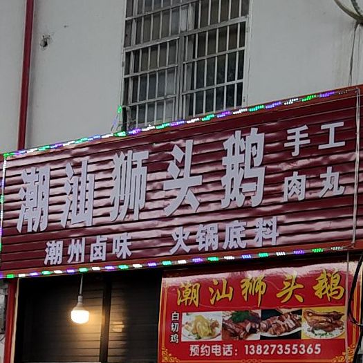 潮山狮头鹅