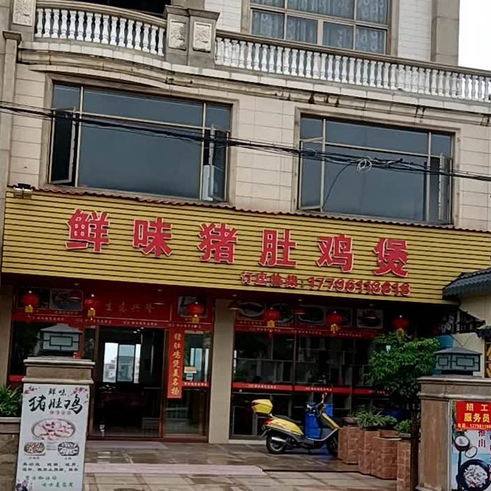 鲜味猪肚鸡煲(竹树坡店)