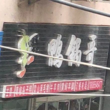 鸭锅哥