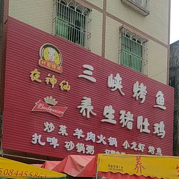 夜神仙三峡鱼鱼(新乐路店)
