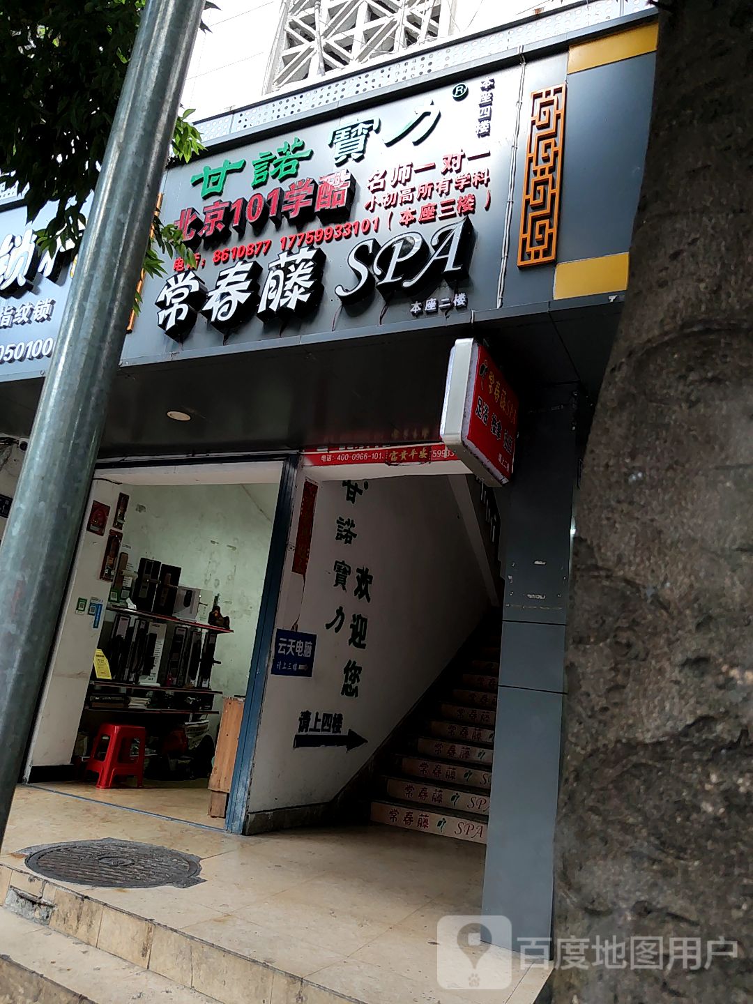 常春藤(八一路店)