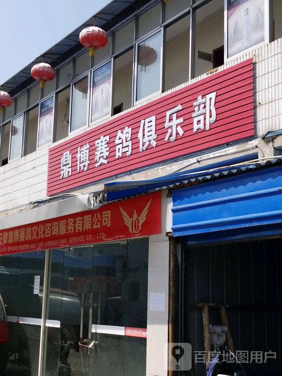 鼎博赛鸽俱乐部