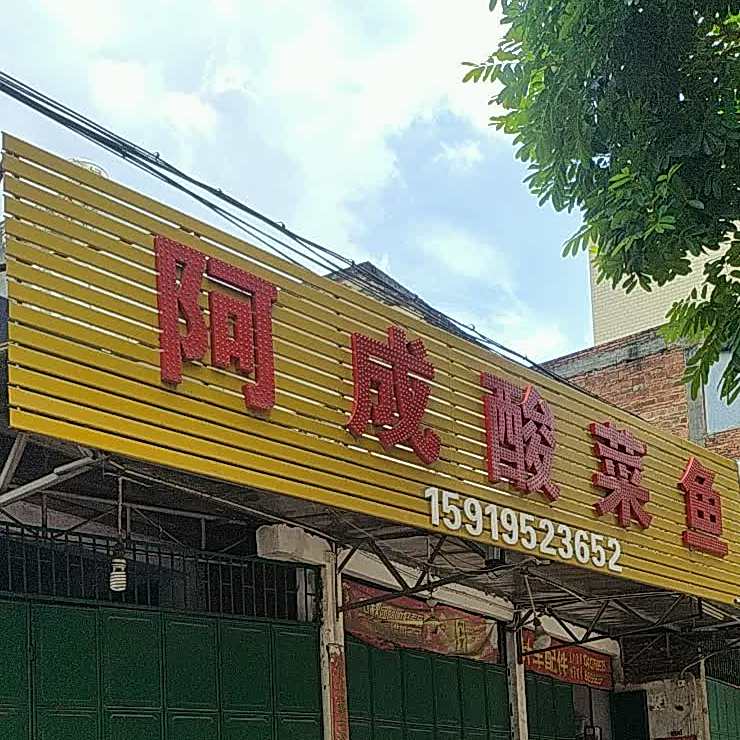 阿成酸菜鱼