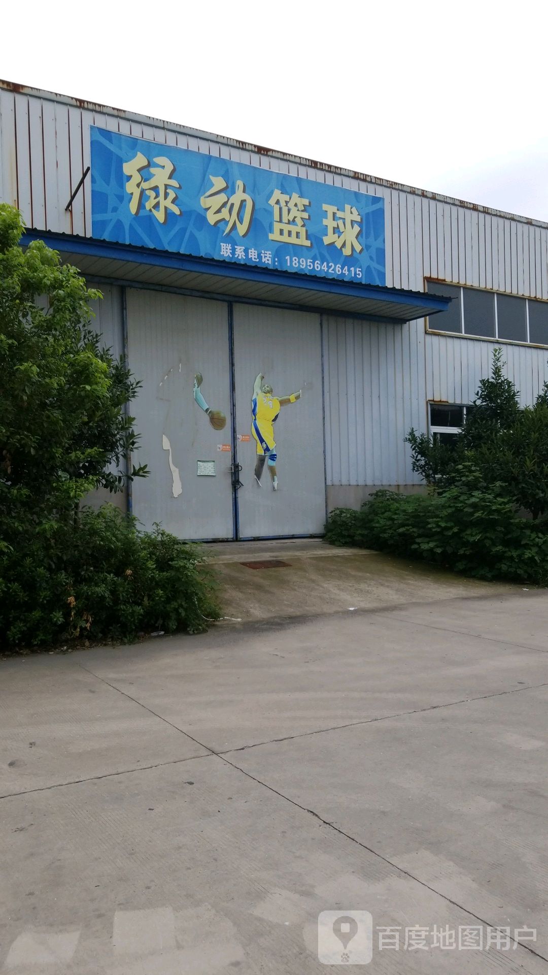 绿动篮球