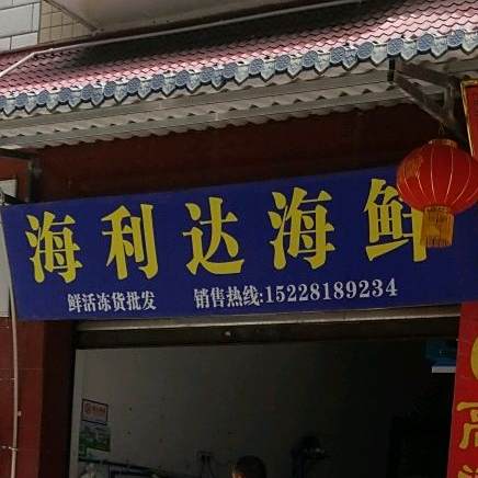 海利达海先