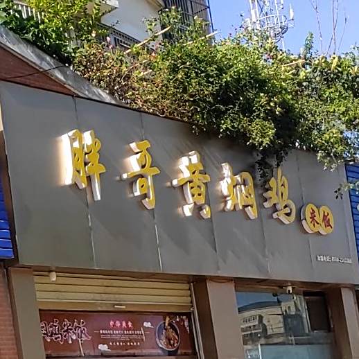 胖哥黄焖鸡米饭(职业学院店)