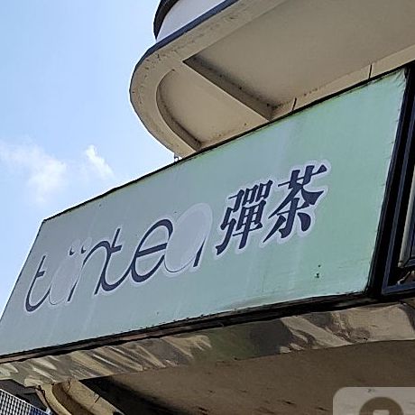 弹茶