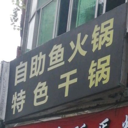 z自助鱼火锅特色干锅