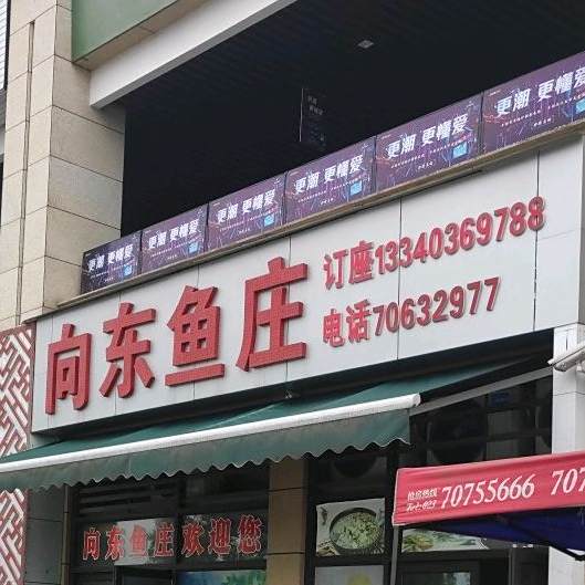 向东鱼庄