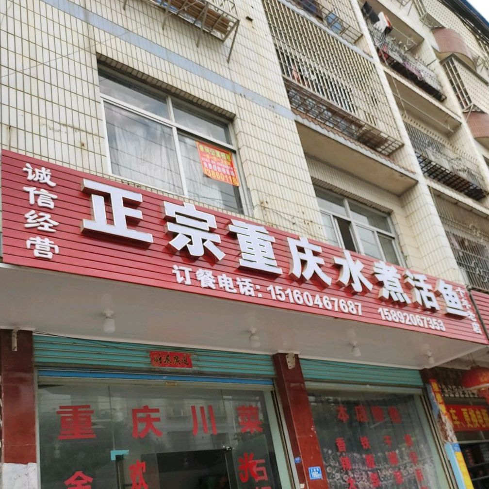 正宗重庆水煮活鱼