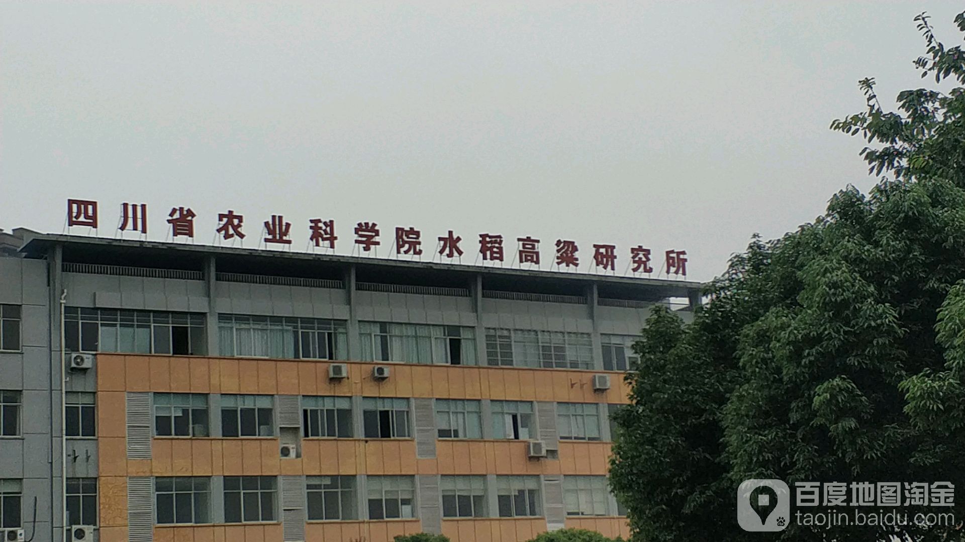 四川省农业科学院水稻高粱研究所