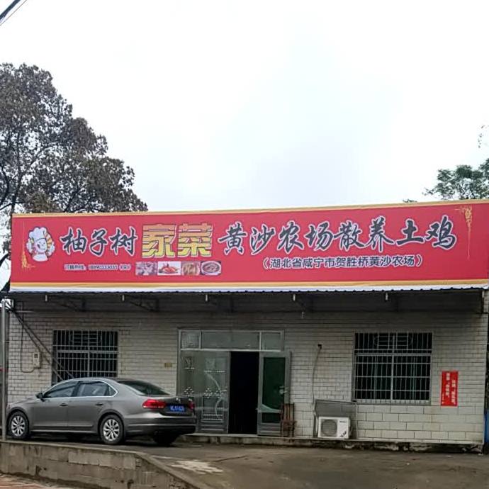柚子树家菜