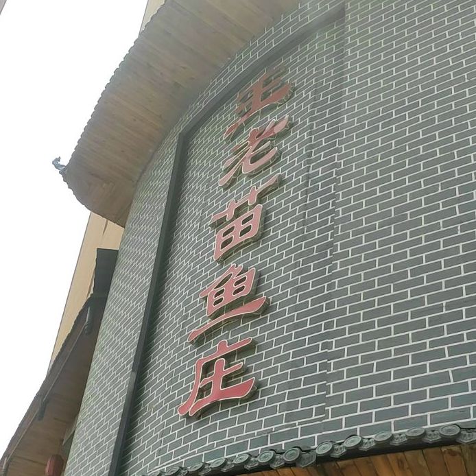 王老苗鱼庄(南州国际·星岸店)