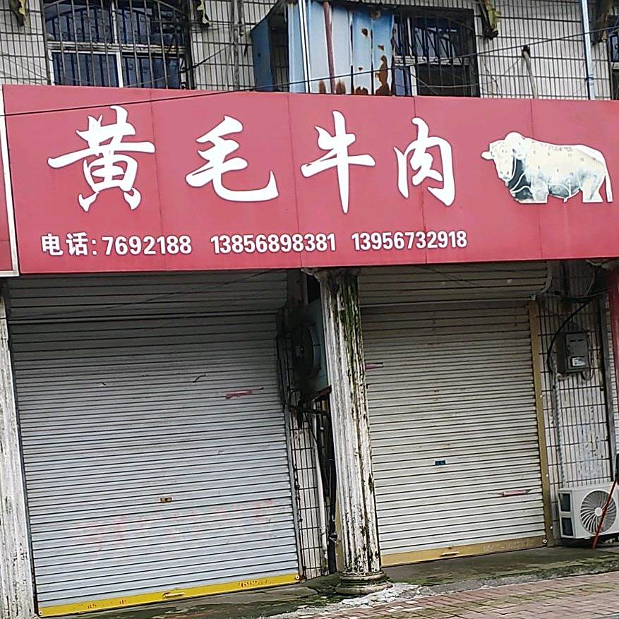 黄毛牛肉
