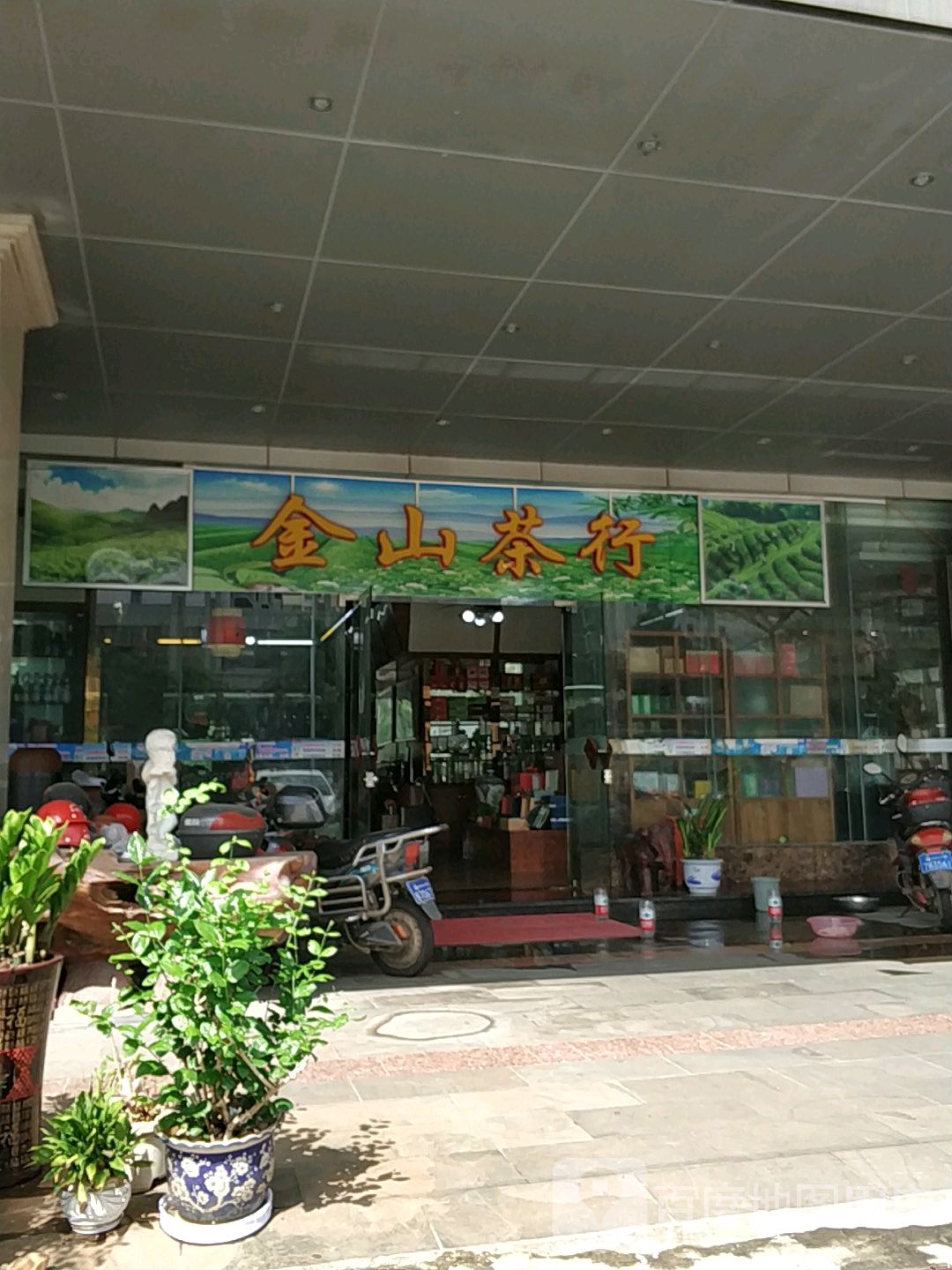 海南白沙湾茗茶金山茶行
