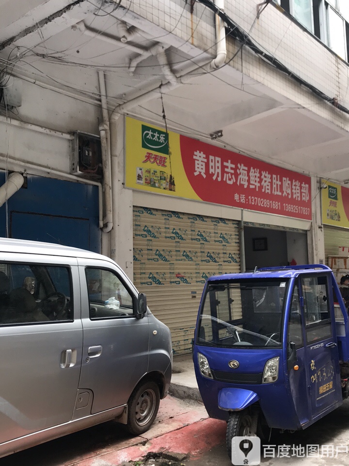 黄明志海鲜猪肚购销部