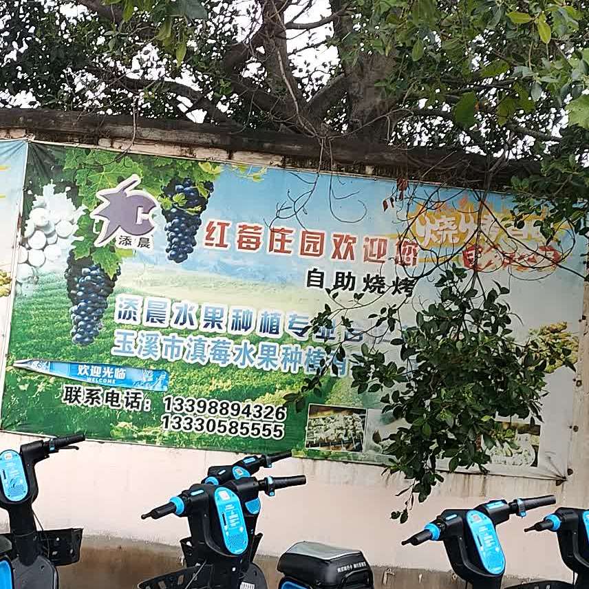 红莓庄园自助烧烤