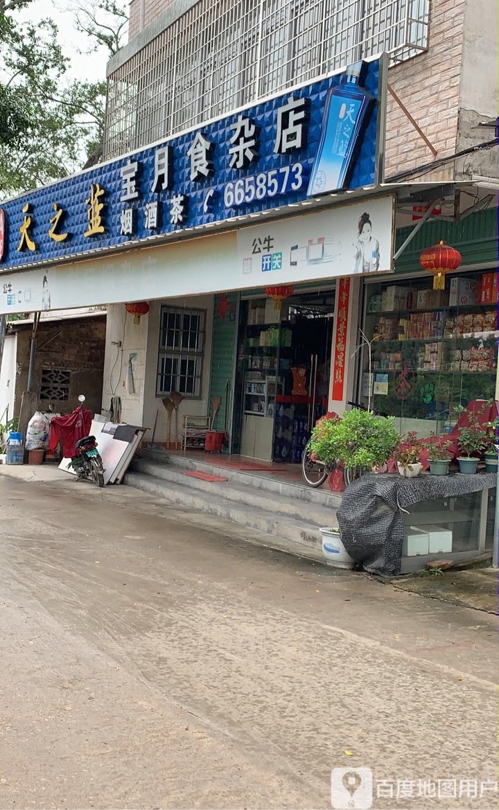宝月食杂店