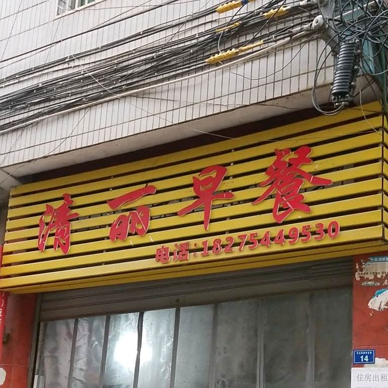 清丽早茶