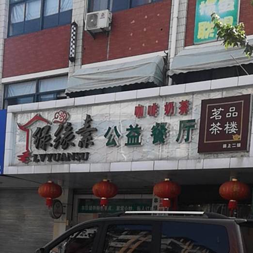 绿缘素公益参厅