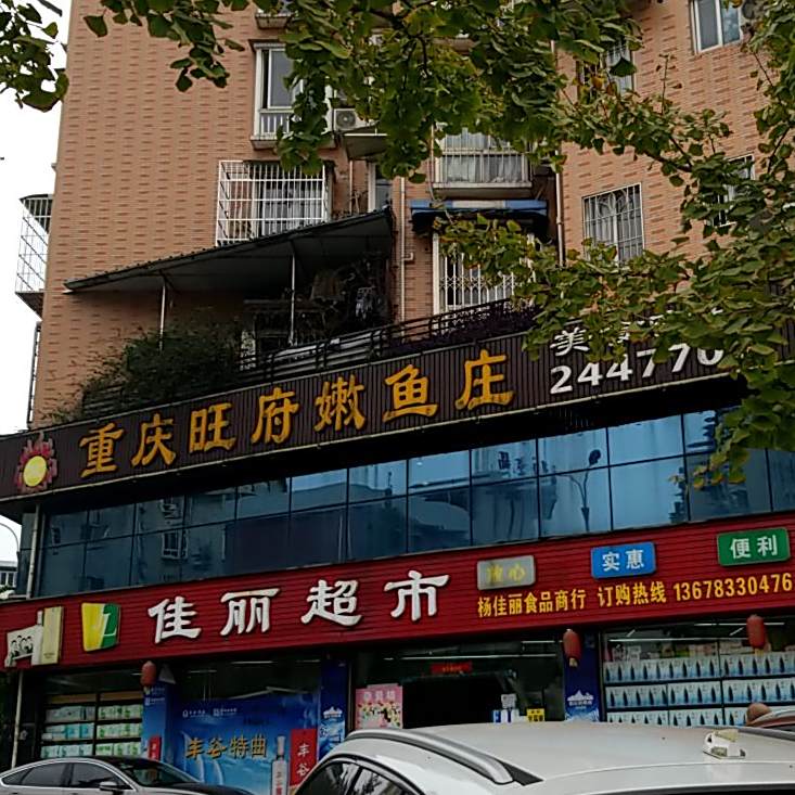 重庆旺府嫩鱼庄(乐山店)