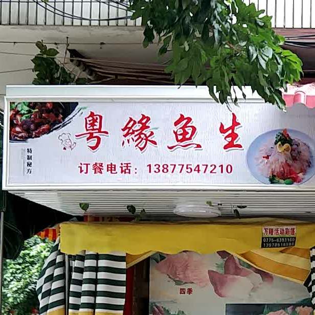 粤缘鱼生