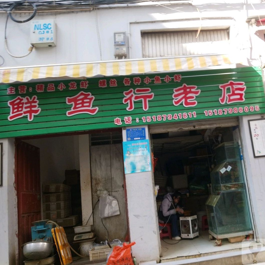 鲜鱼行老店