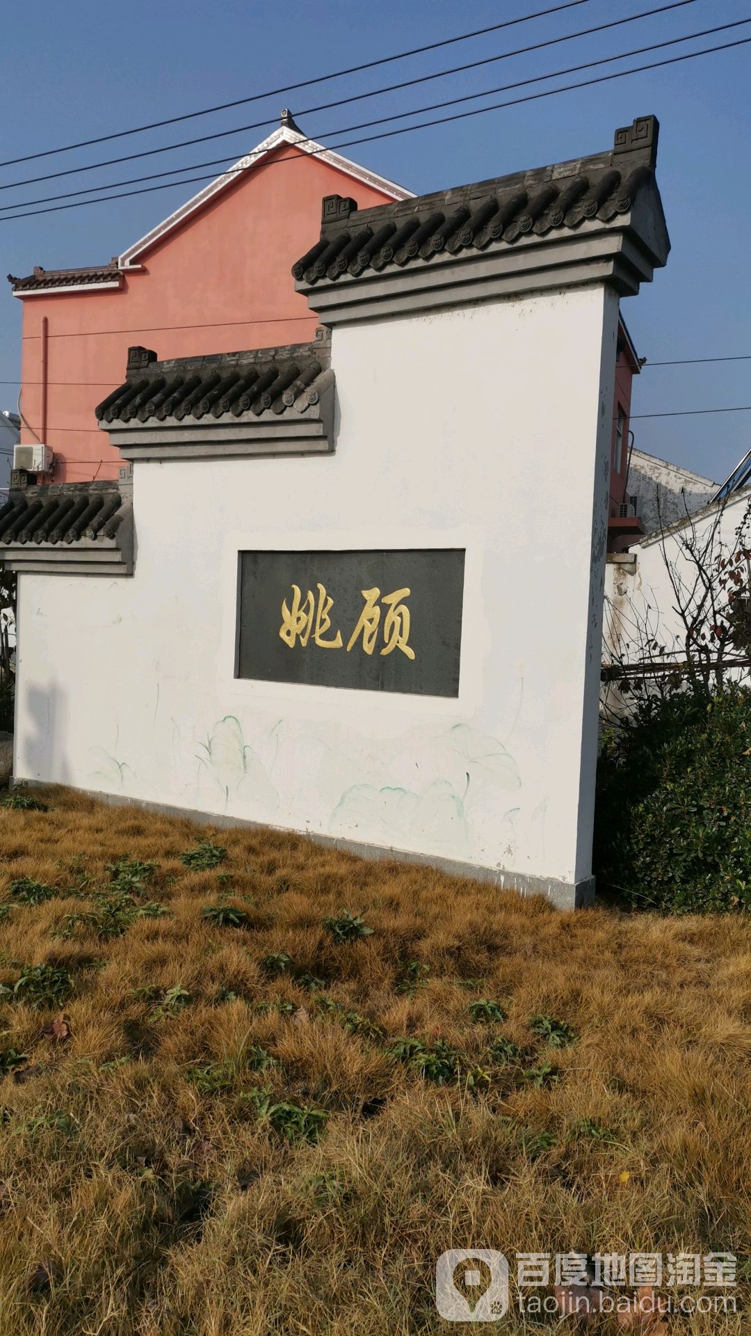 姚顾