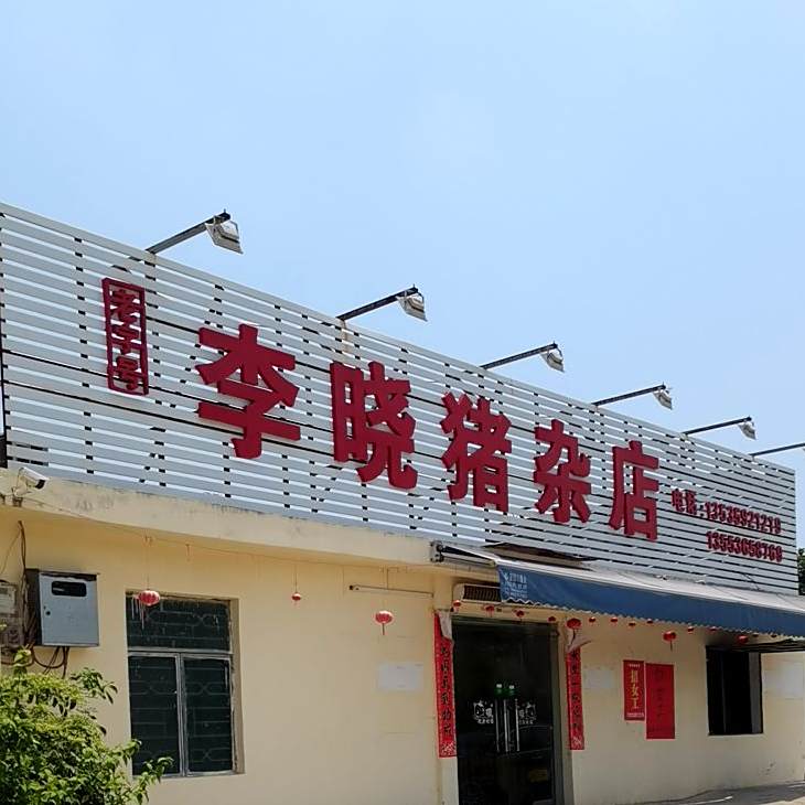 李晓猪杂汤