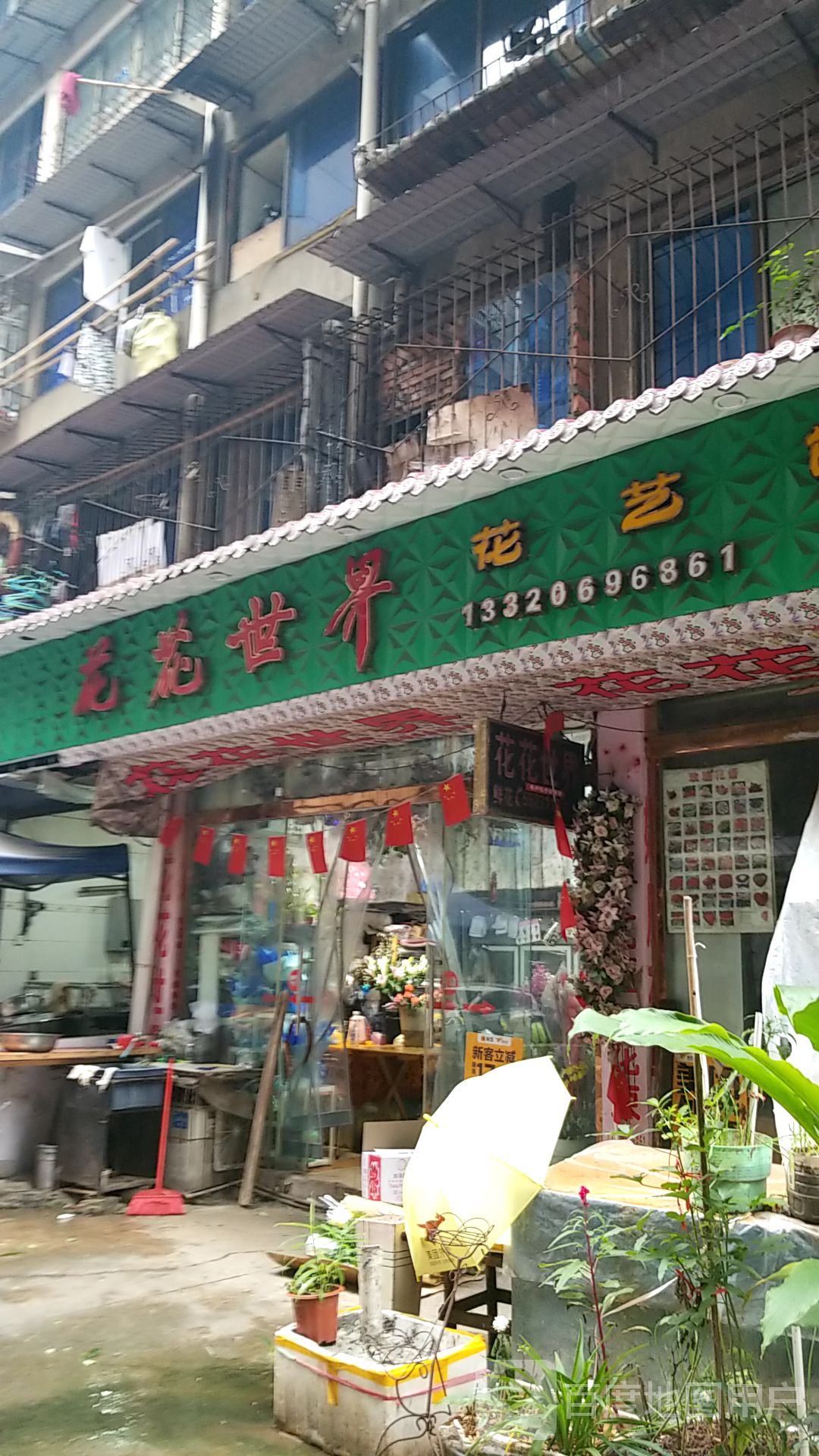 花花世界