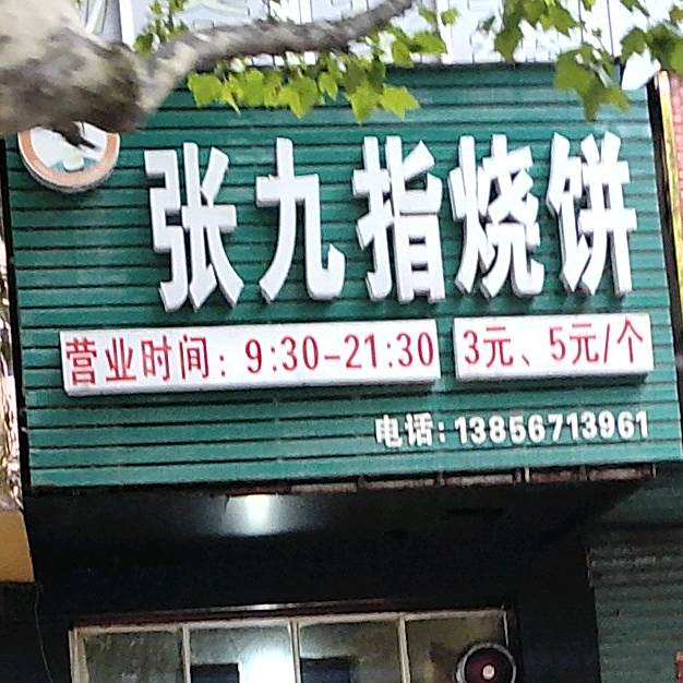 张九指烧饼(县直幼儿园北)