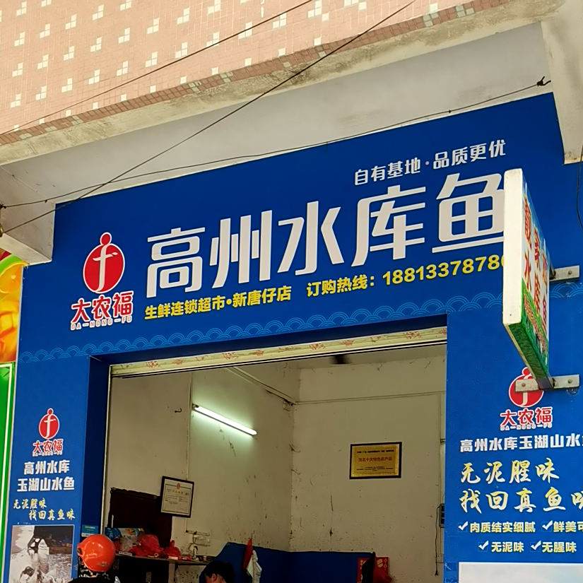 高州水库鱼