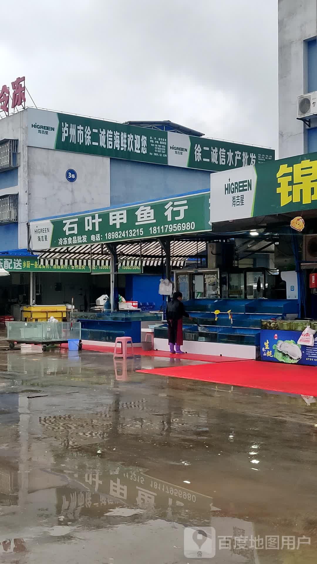 石叶甲鱼行
