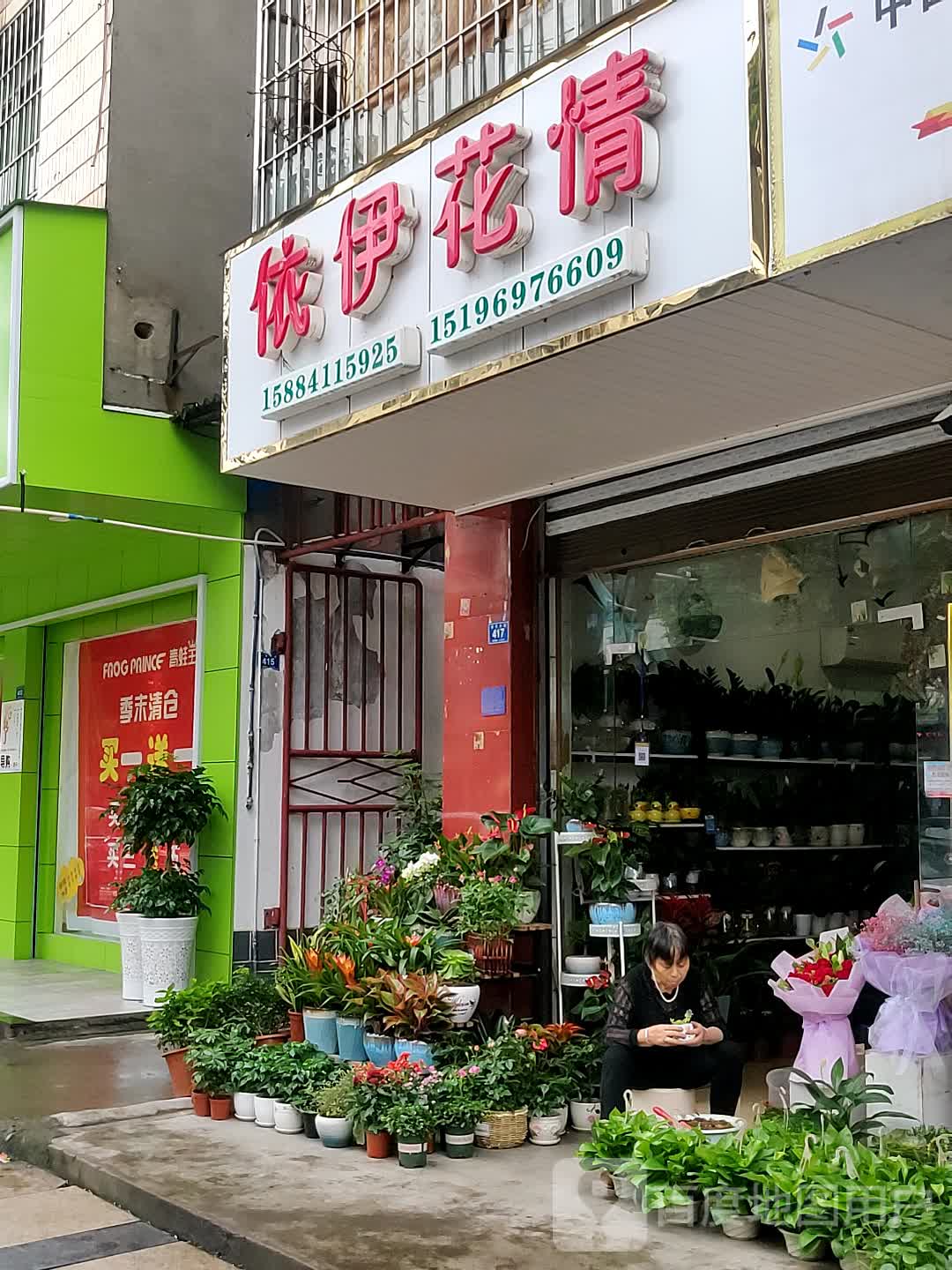 依伊花情