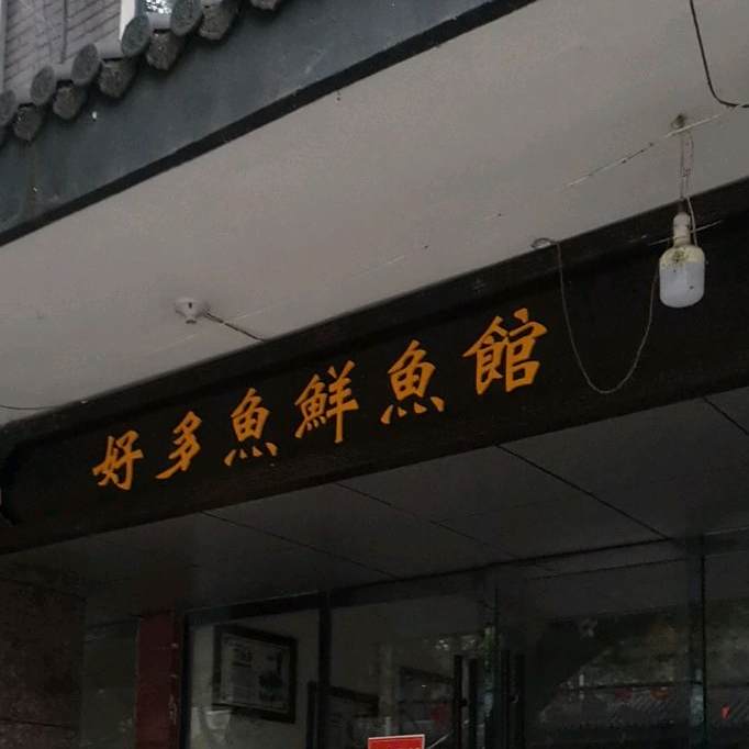 好多鱼自鱼馆(环城北路店)