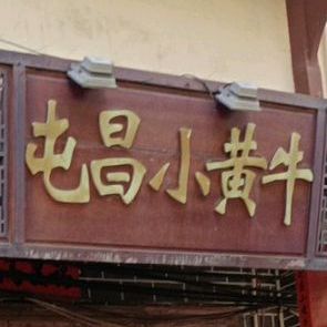 屯昌小黄牛