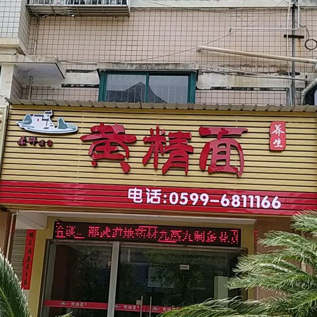 黄精面养生