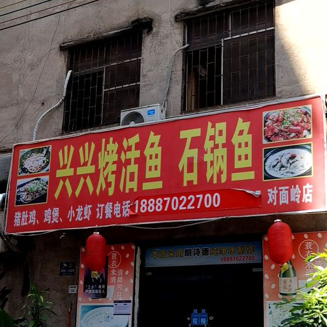 兴兴烤活鱼石锅鱼(对面岭店)
