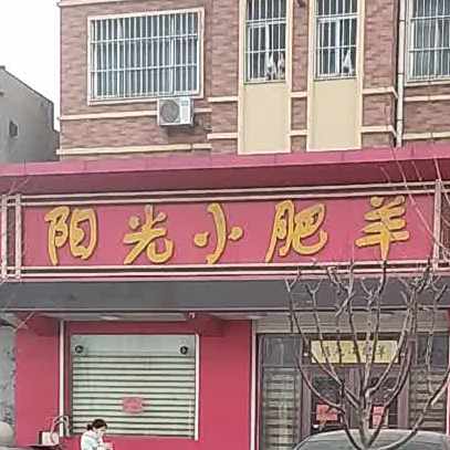 阳光小fei羊