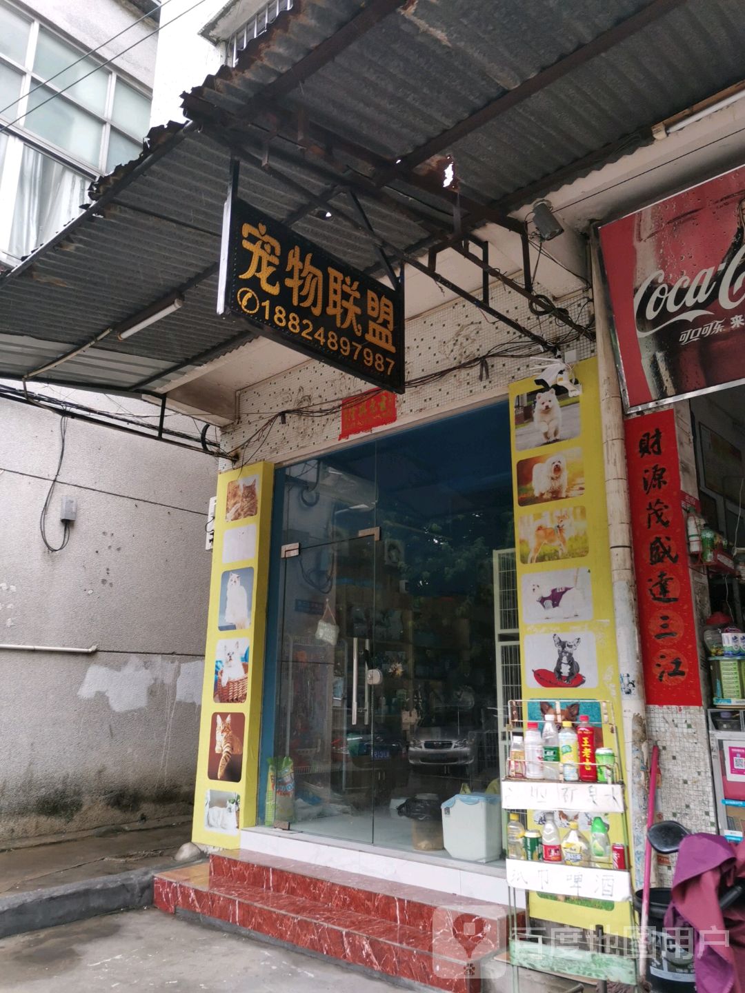 宠物联盟宠物店